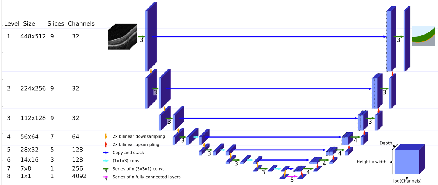 U-Net architecture.