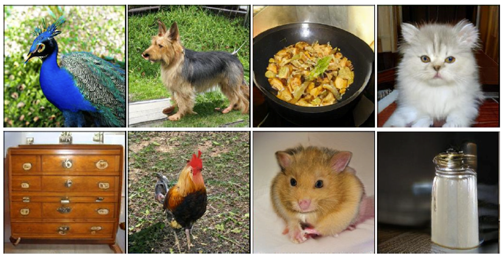 Examples from BigGAN-deep trainined on ImageNet